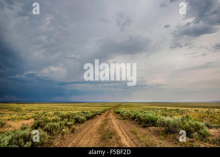 Distesa vuota e la strada sterrata in i crateri della luna monumento nazionale nella Snake River Plain vicino ad Arco, Idaho. Foto Stock