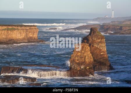 Vista dell'Oceano Pacifico e del faro lungo la costiera della California monumento nazionale nel punto Stornetta Arena, California. Foto Stock