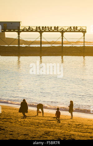 Aberystwyth, Wales, Regno Unito, 1 novembre, 2015. Per coloro che godono di una giornata di sole ininterrotta sul mare di Aberystwyth west wales. La temperatura a Trawscoed stazione meteorologica, a poche miglia di navigazione della città, hanno raggiunto 22,4 gradi centigradi, (72.3F) rottura del Regno Unito lunga novembre record di temperatura e secondo come riferito rendendo mid-Galles il luogo più caldo in Europa oggi foto Keith Morris / Alamy Live news Foto Stock