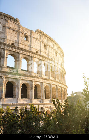 Colosseo a Roma, Italia Foto Stock