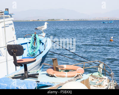 Seagull sedia barca. Curiosità immagine con seagull e sedia su Fisherman's boat Foto Stock