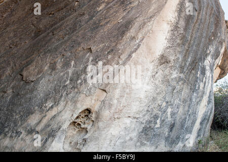 Antiche incisioni rupestri in Gobustan Parco Nazionale in Azerbaigian. Foto Stock