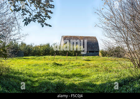 Nella mia infanzia queste strutture erano orgoglio e gioia di prateria di agricoltori. Ora, i pochi che rimangono, sono poco più di un dis Foto Stock