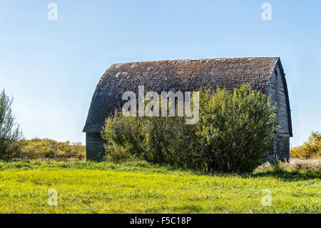 Nella mia infanzia queste strutture erano orgoglio e gioia di prateria di agricoltori. Ora solo pochi rimangono Foto Stock