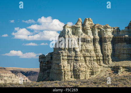 Pilastri di Roma formazione di roccia, Valle del Giordano, sud-est di Oregon. Foto Stock