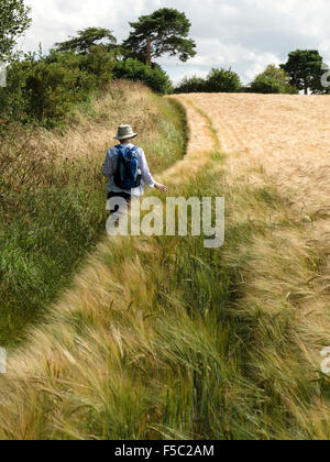 La donna nel cappello per il sole passeggiando lungo il bordo di ripe campo di orzo da una siepe, Leicestershire, Inghilterra, Regno Unito. Foto Stock