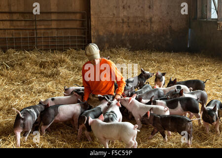 Giovane agricoltore comunicante con suinetto svezzato suinetti. Foto Stock