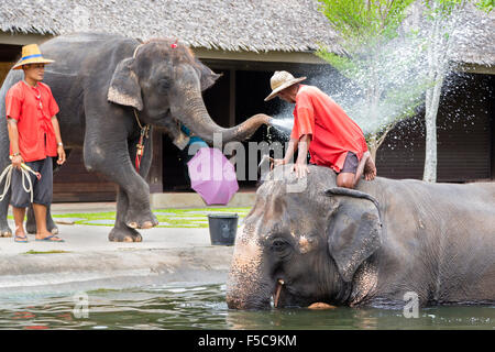 Elephant show, Sampran Riverside, Bangkok, Thailandia Foto Stock