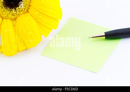 Fresco fiore di girasole con gocce di rugiada in angolo con vuoto nota verde carta e penna. Foto Stock