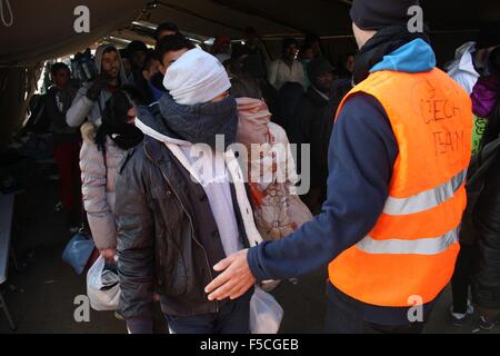 Berkasovo, Srbsko. 31 ott 2015. Oltre 100 volontari ceca funzionano al Berkasovo-Bapska checkpoint al confine tra Serbia e Croazia, aiutare le migliaia di migranti voce per l'Unione europea, il 31 ottobre 2015. © Sarka Mrazova/CTK foto/Alamy Live News Foto Stock