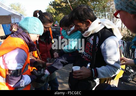 Berkasovo, Srbsko. 31 ott 2015. Oltre 100 volontari ceca funzionano al Berkasovo-Bapska checkpoint al confine tra Serbia e Croazia, aiutare le migliaia di migranti voce per l'Unione europea, il 31 ottobre 2015. © Sarka Mrazova/CTK foto/Alamy Live News Foto Stock