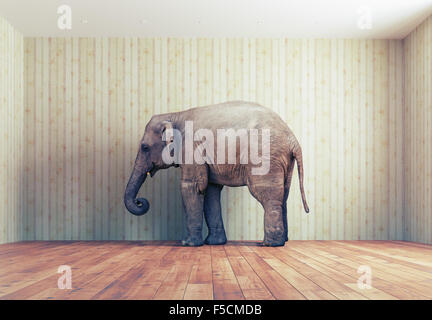 Lone elefante in camera. Concetto creativo Foto Stock