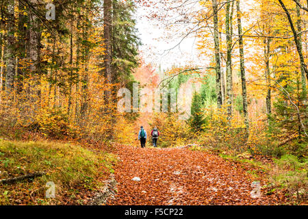 Due ragazze passeggiate nella foresta delle alpi italiane Foto Stock