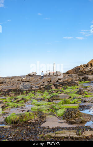 Una donna dog walker arrampica sulle rocce sulla spiaggia vicino a Seaton Sluice, St Mary il faro in distanza, Tyne and Wear Foto Stock