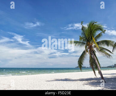 Tropical spiaggia di sabbia bianca con palme. Hua Hin, Thailandia. Foto Stock