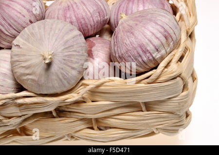 Lampadina singola aglio / Solo l'aglio (allium sativum) la lampadina non è suddiviso in spicchi ma una singola entità solido Foto Stock