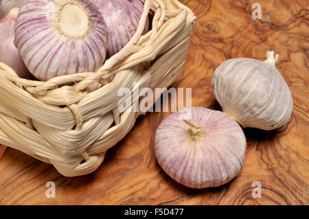 Lampadina singola aglio / Solo l'aglio (allium sativum) la lampadina non è suddiviso in spicchi ma una singola entità solido Foto Stock