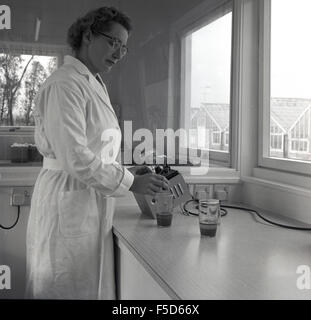 Anni Cinquanta storiche, femmina adulta scienziato che indossa mantello bianco a lavorare in un laboratorio. Foto Stock