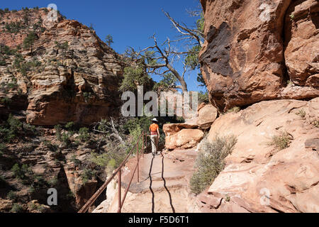 Escursionista sul Canyon Overlook Trail, Parco Nazionale Zion, Utah, Stati Uniti d'America Foto Stock