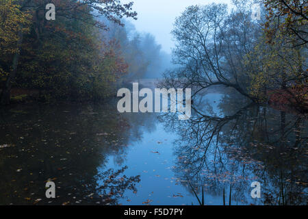 Strawberry Hill stagno nella Foresta di Epping allo spuntar del giorno su nebbiosa mattina autunnale Foto Stock