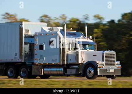 Tipico pulito, brillante American Peterbilt carrello per il trasporto di merci sulla rotta di autotrasporti Interstate 10, Louisiana, Stati Uniti d'America Foto Stock