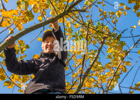 Bambino ragazzo su Tree Climbing, giornata di sole e cielo blu Foto Stock