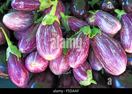 Appena raccolto melanzana sul visualizzatore in corrispondenza di un estate mercato agricolo in curva, Oregon Foto Stock