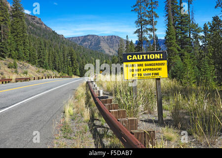 Un segno lungo la forcella del nord del fiume Shoshone in Wyoming, avviso ai partecipanti di essere consapevole del fatto che vi sono orsi grizzly nelle vicinanze. Foto Stock