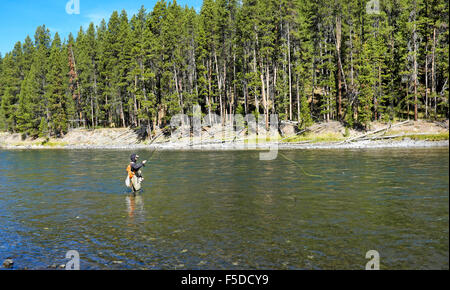 Un pescatore a mosca cast per la trota spietato su Yellowstone River vicino al Ponte di Pesca nel Parco Nazionale di Yellowstone, Wyoming. Foto Stock