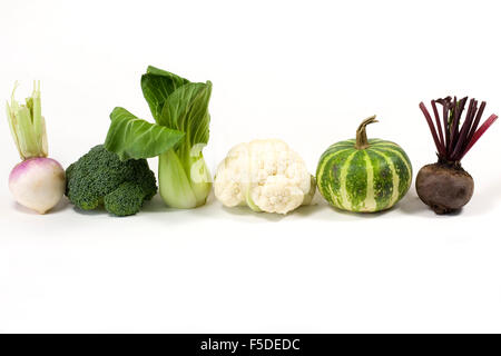 Una selezione di ortaggi in miniatura su uno sfondo bianco. Foto Stock