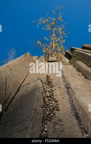 Panska Skala (Herrnhausfelsen, cameriera rock), Rocky Hill, formazione geologica, organo di pietra, Kamenicky Senov, Repubblica Ceca Foto Stock