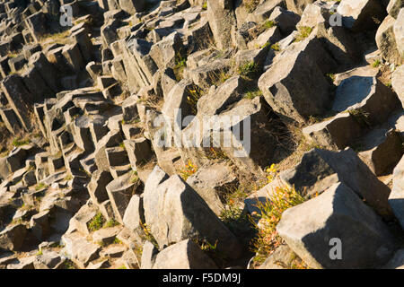 Panska Skala (Herrnhausfelsen, cameriera rock), Rocky Hill, formazione geologica, organo di pietra, Kamenicky Senov, Repubblica Ceca Foto Stock