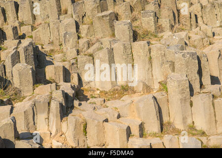 Panska Skala (Herrnhausfelsen, cameriera rock), Rocky Hill, formazione geologica, organo di pietra, Kamenicky Senov, Repubblica Ceca Foto Stock