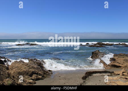 La nebbia in massa posteriore . Onde che si infrangono sugli scogli creando uno spruzzo . Le alghe sulla spiaggia . Due dei tre come il surf entra in Foto Stock