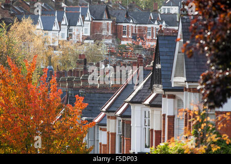 Colore di autunno negli alberi dei Duchi Avenue, una strada nella zona nord di Londra quartiere di Muswell Hill. Foto Stock