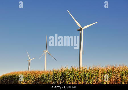 Le turbine eoliche torre su una matura mais su terreno coltivato nei pressi di Steward, Illinois, Stati Uniti d'America. Foto Stock