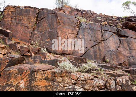 Antica arte rupestre degli Aborigeni engravngs, simboli di riti di iniziazione, su red muri in pietra in Flinders Ranges in outback Australia Foto Stock