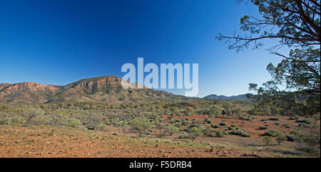 Vista panoramica di robusti gamme Heysen & Aroona valle sotto il cielo blu in Flinders Ranges National Park, nell'outback Australia del Sud Foto Stock