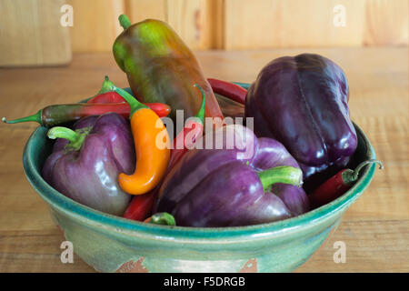 Varietà di dolci e peperoncino in una ciotola. Foto Stock