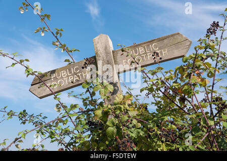 Sentiero pubblico segnavia, Nr Hadleigh Castle, Hadleigh, Essex, Inghilterra, Regno Unito Foto Stock