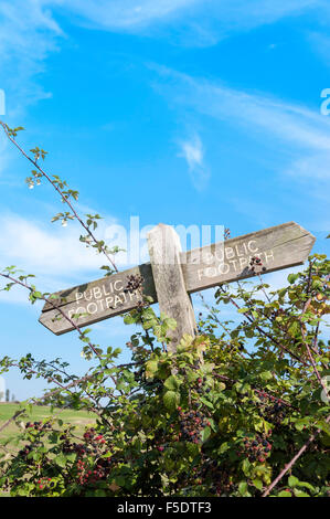 Sentiero pubblico segnavia, Nr Hadleigh Castle, Hadleigh, Essex, Inghilterra, Regno Unito Foto Stock