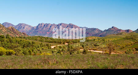 Paesaggio panoramico in Flinders Ranges National Park con avvolgimento su strada verso l'alto aspre colline sotto il cielo blu in outback Australia del Sud Foto Stock