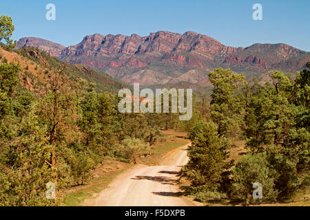 Paesaggio in Flinders Ranges Nat Pk con la strada per affettare attraverso i boschi verso l'alto aspre colline sotto il cielo blu in outback Australia del Sud Foto Stock