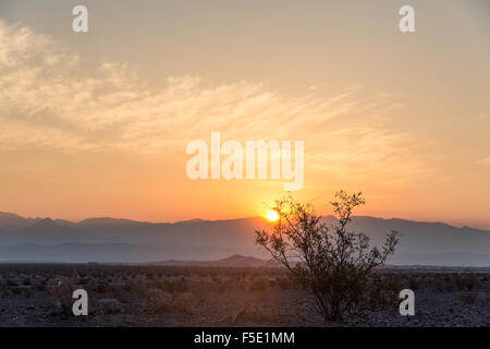 Sunrise a Mesquite dune di sabbia nel Parco Nazionale della Valle della Morte, CALIFORNIA, STATI UNITI D'AMERICA Foto Stock