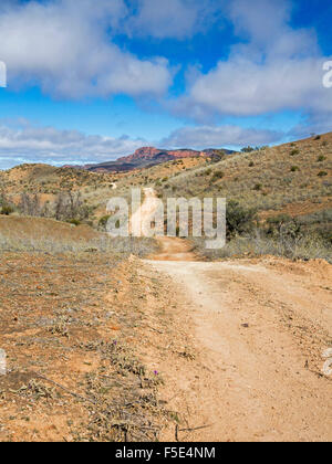 Lunga strada tortuosa serpeggiando in arido paesaggio collinare di Gammon gamme Parco Nazionale sotto il cielo blu in outback Australia del Sud Foto Stock