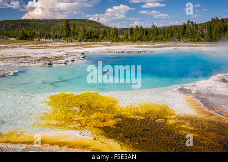 Colorato sorgenti termali e piscine di Midway Geyser Basin nel Parco Nazionale di Yellowstone, Wyoming negli Stati Uniti. Foto Stock