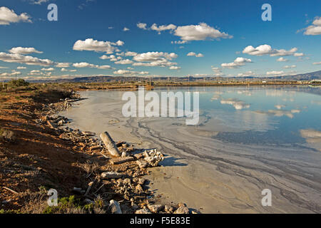 Inquinamento e contaminazione di acqua nella parte superiore Spencer Gulf , oceano di marea ingresso in Porto Augusta, Sud Australia Foto Stock