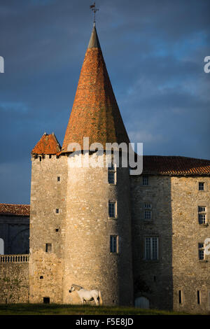 Chillac Chateau, La Charente, Francia, Europa Foto Stock