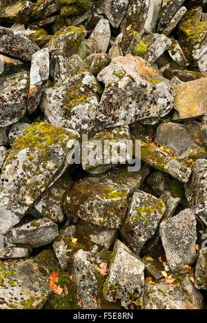 Sfondo astratto da pietre ricoperto da Moss, sharp pietre irregolari di vari tipi colorato e armonioso Foto Stock