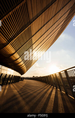 Luce della Sera sulla parte esterna del Velodromo, Queen Elizabeth Olympic Park, Stratford, Londra, Inghilterra, Regno Unito, Europa Foto Stock